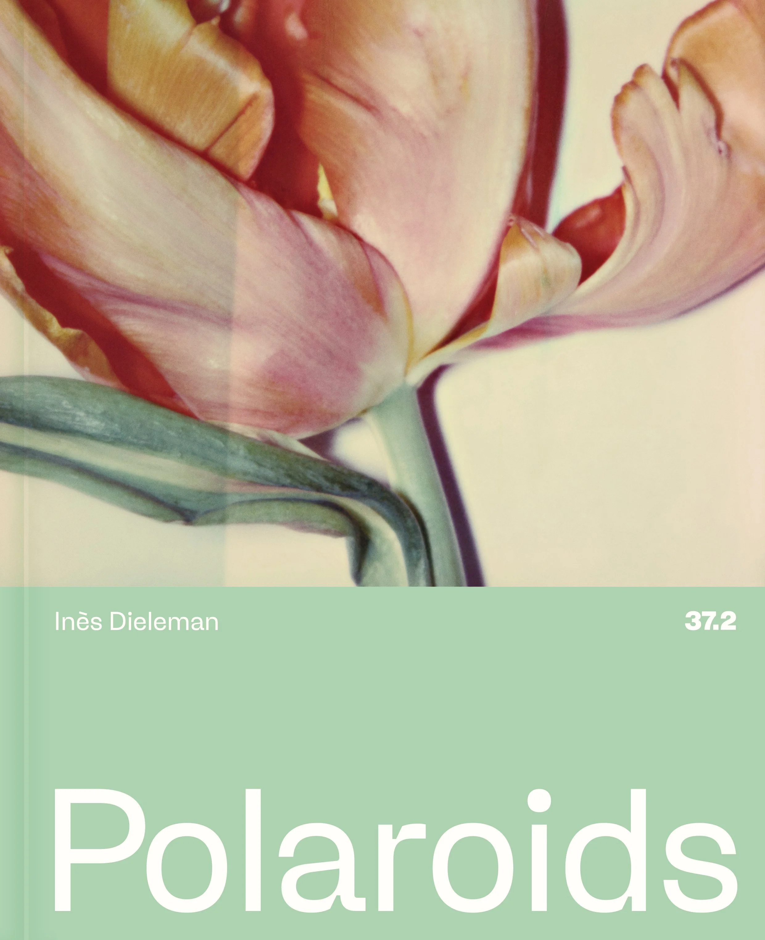 ines dieleman 37.2 polaroids cover.jpg