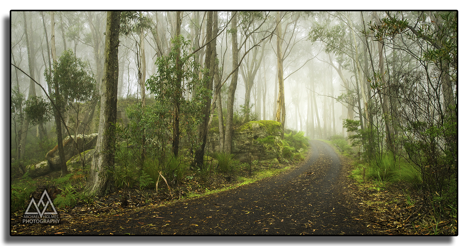 Flat_Mt-Wilson-fog-road-1 copy.jpg