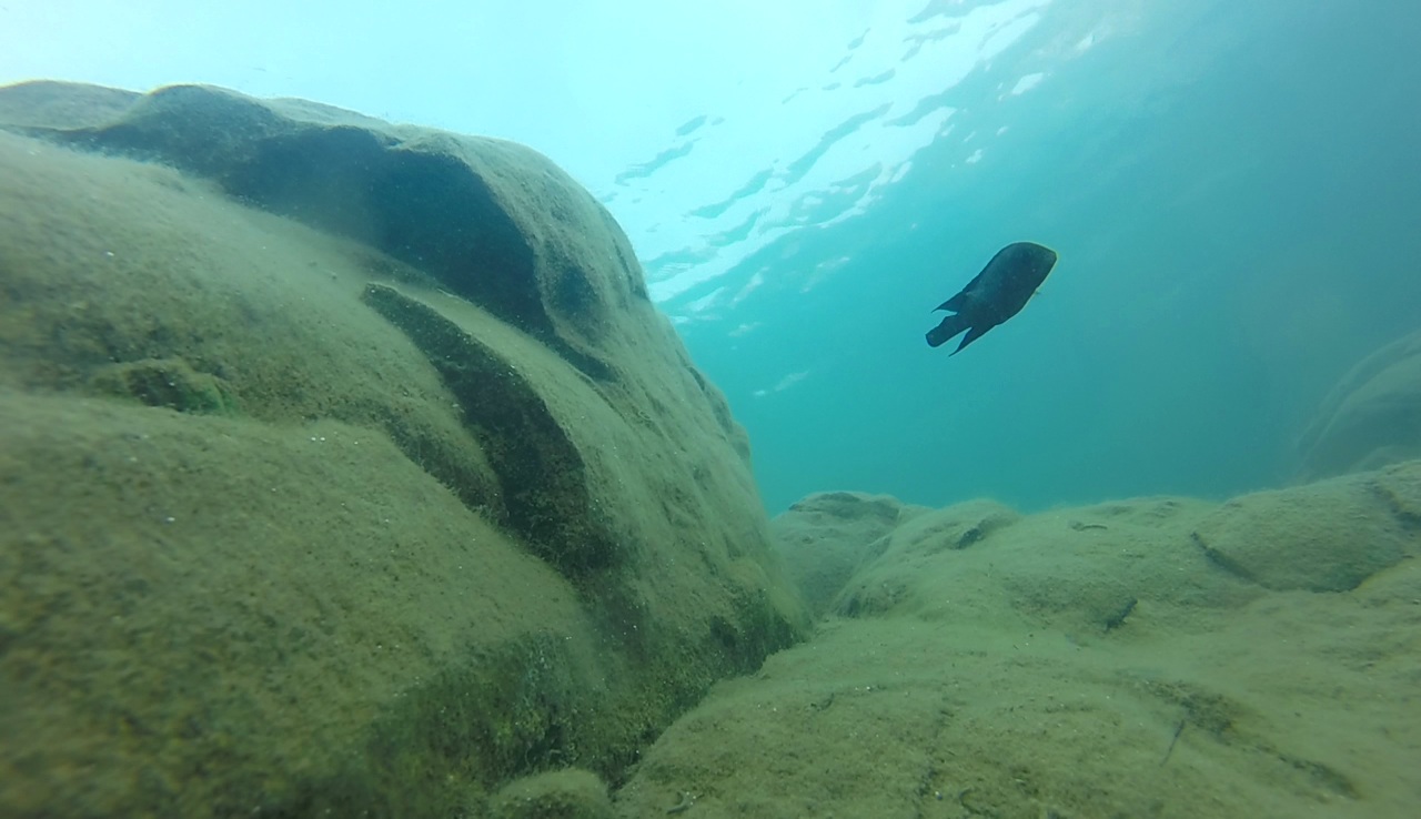 vlcsnap-2019-05-20-22h58m24s260.jpg