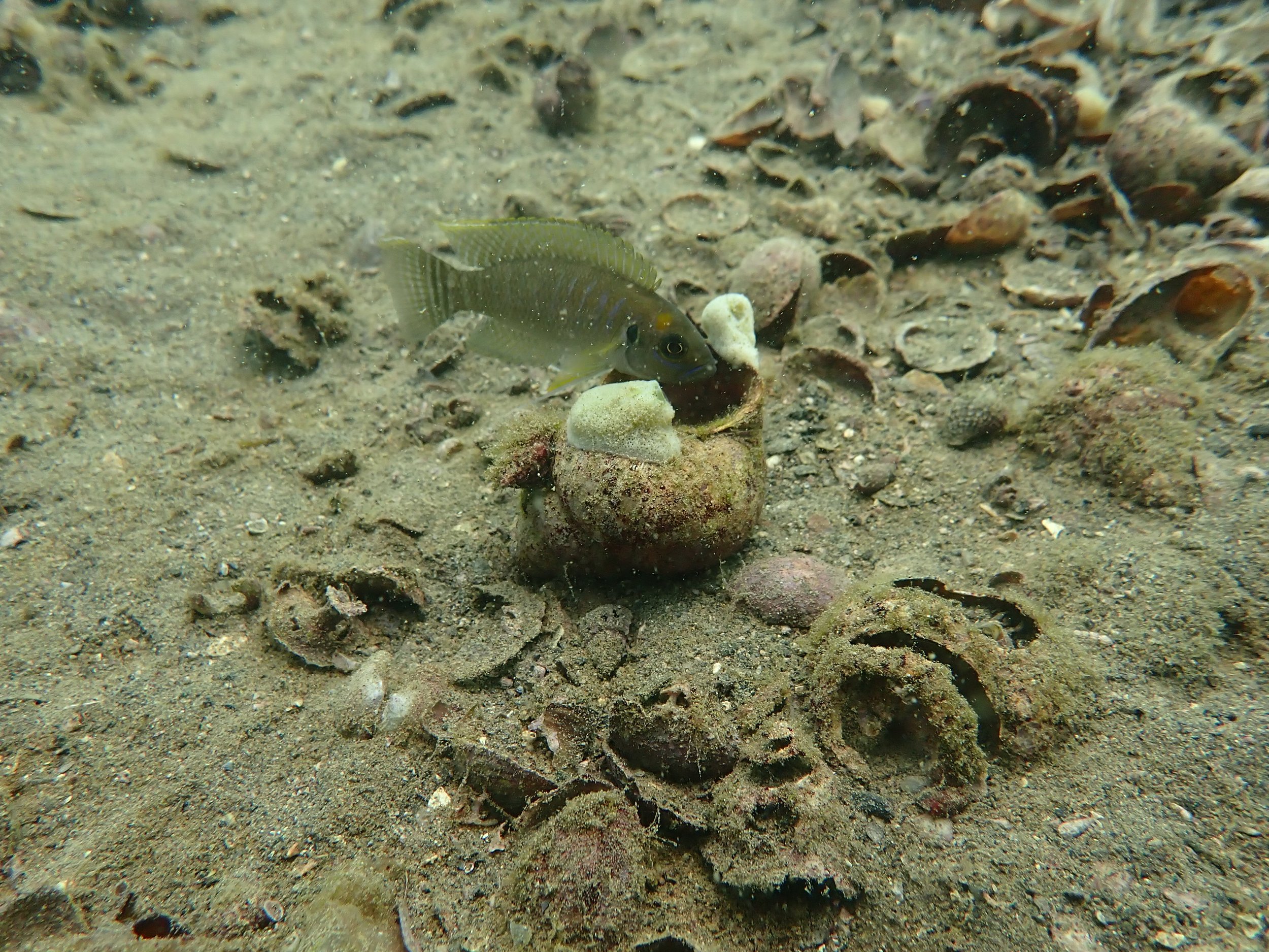 P5010309.JPG