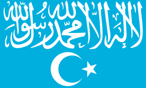 ETIM flag