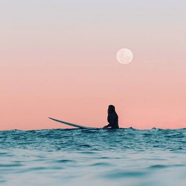 Oh what we wouldn't do to be out in that ocean right now!
.
If you're missing nature adventures like us due to lockdown - Make sure you take a moment to check out tonight's super pink full moon (otherwise known as the paschel moon.) It's set to be th