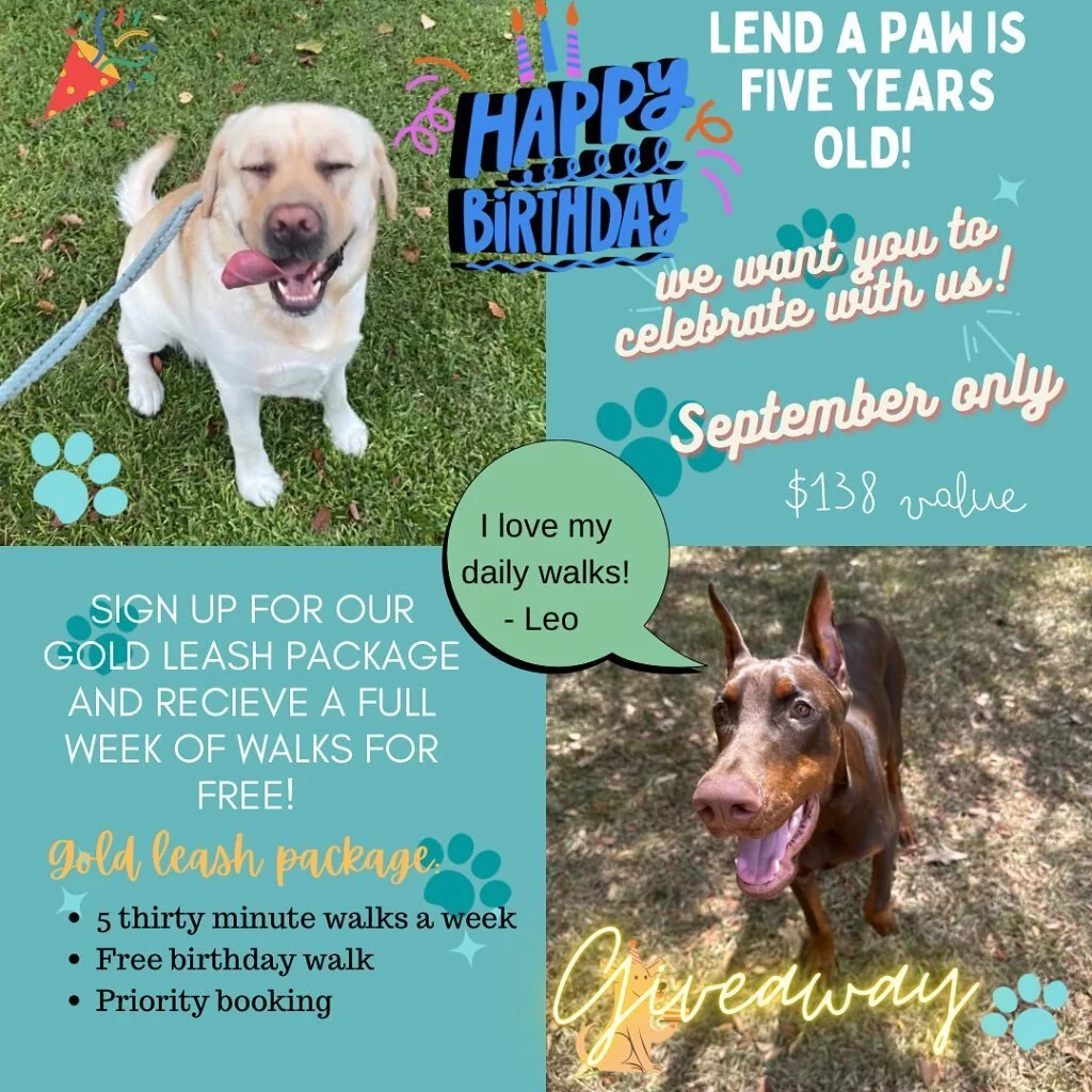 Contact Us + A Client — Lend A Paw Professional Pet Sitter in