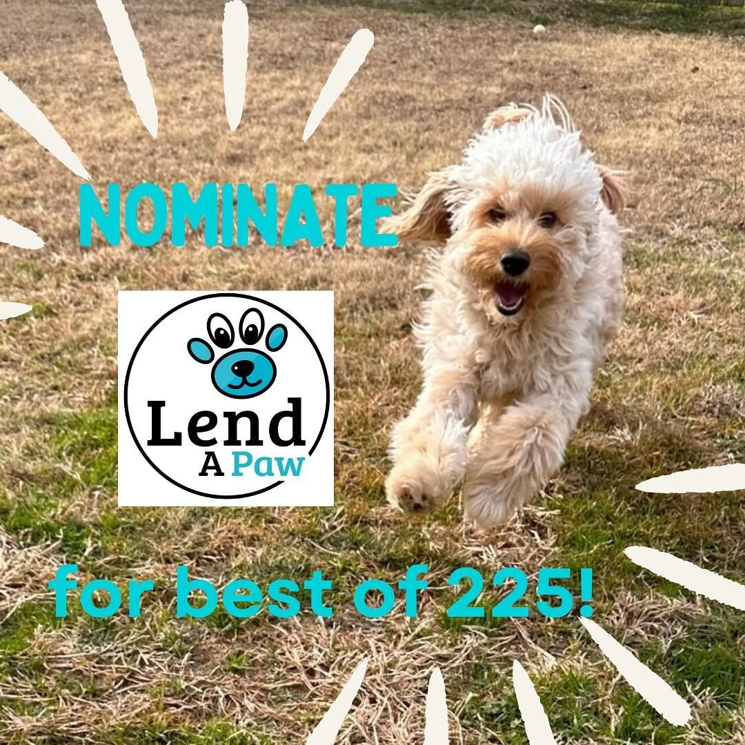 Contact Us + A Client — Lend A Paw Professional Pet Sitter in