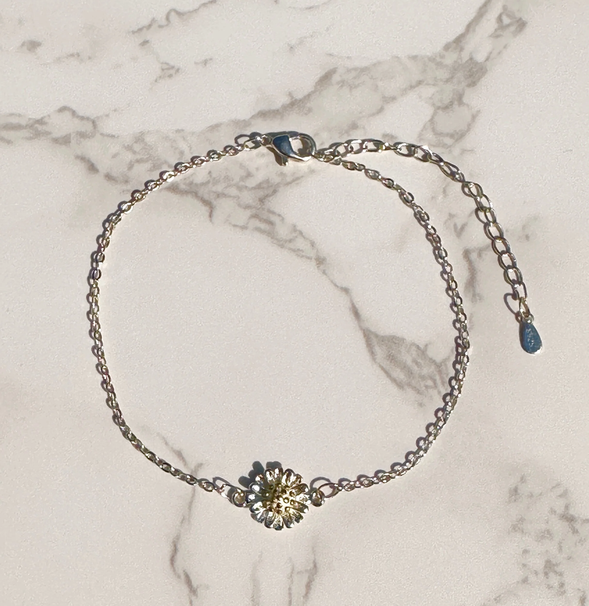 7CC7A2CE-5D44-43D1-901B-0E1398A75A62