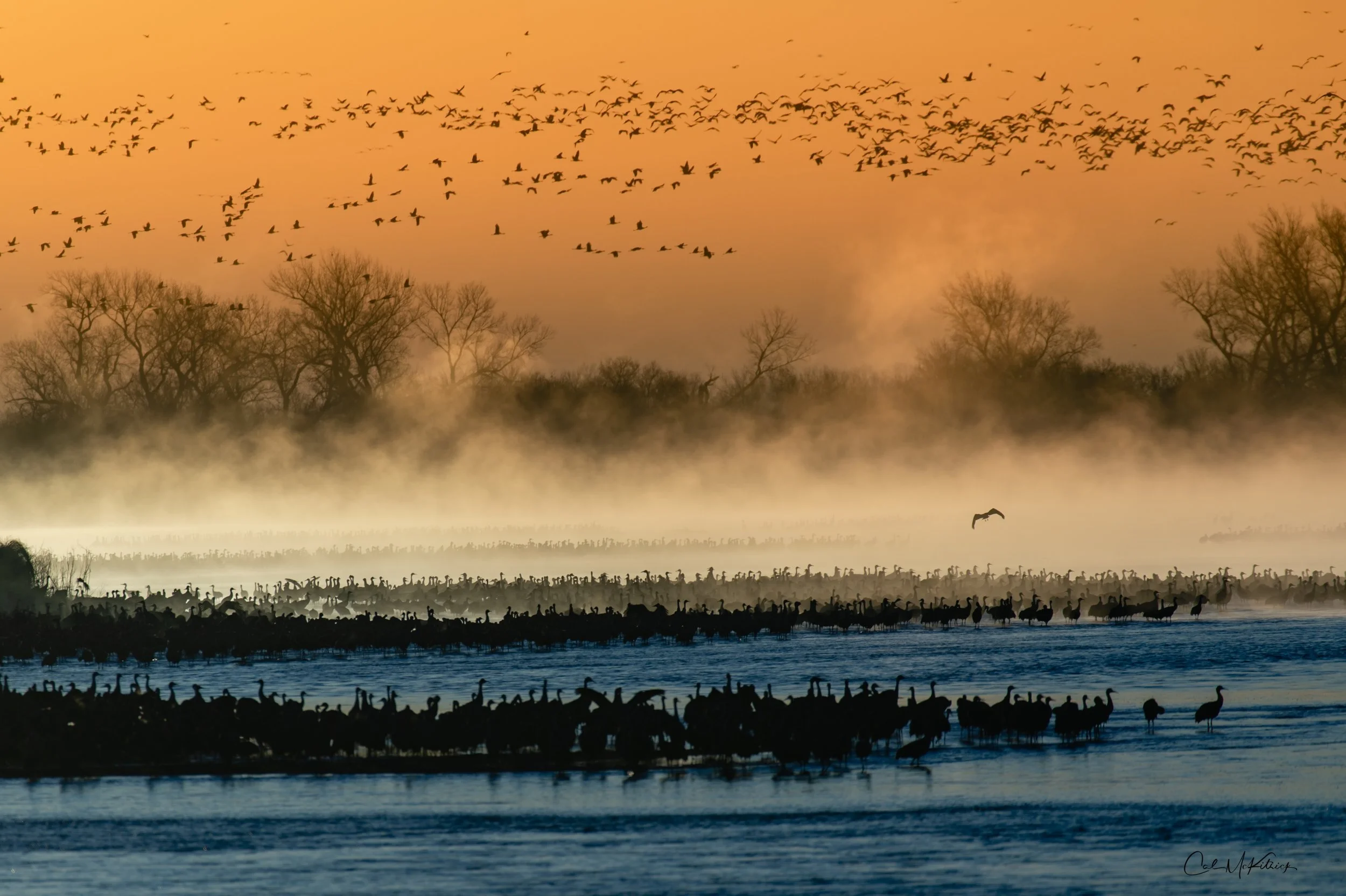 In the Rivers Mist.jpg