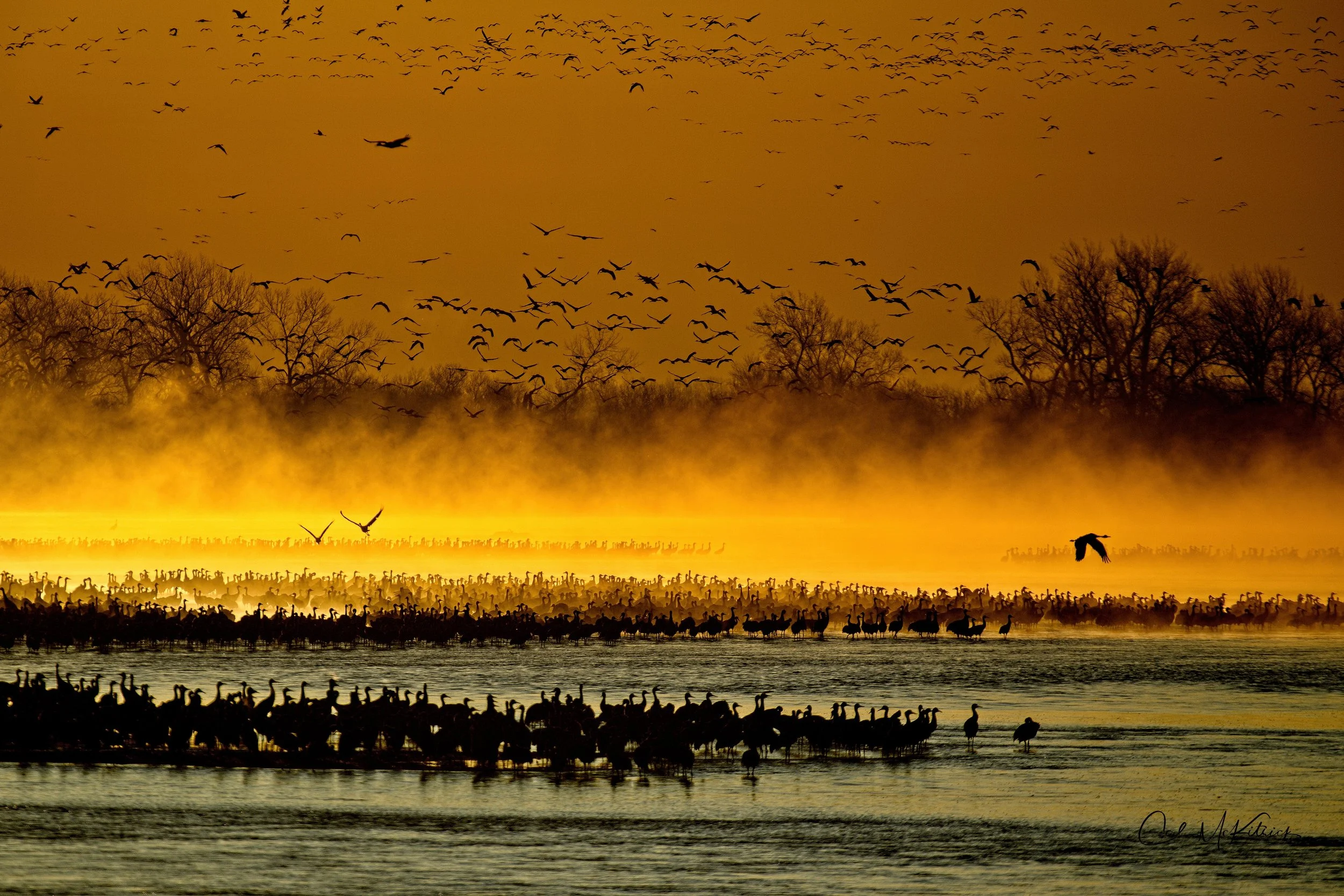 early morning on the north platte.jpg