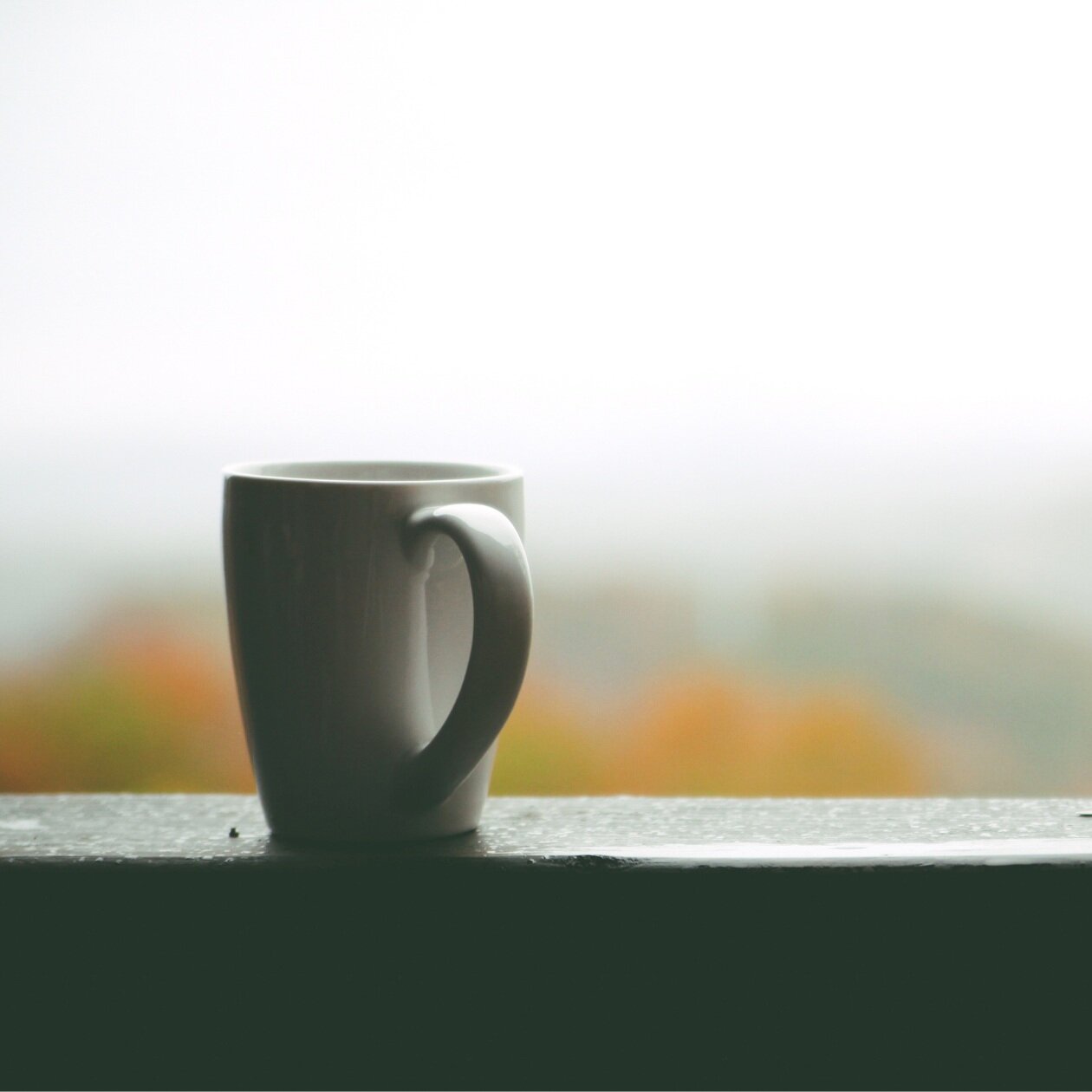 Being in the Moment: A September Walk