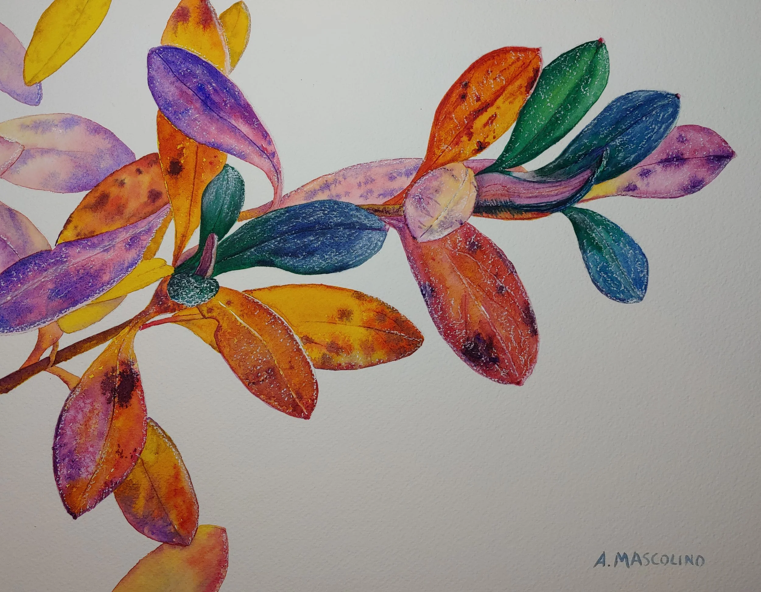 Fleeting, Yet Flourishing Again