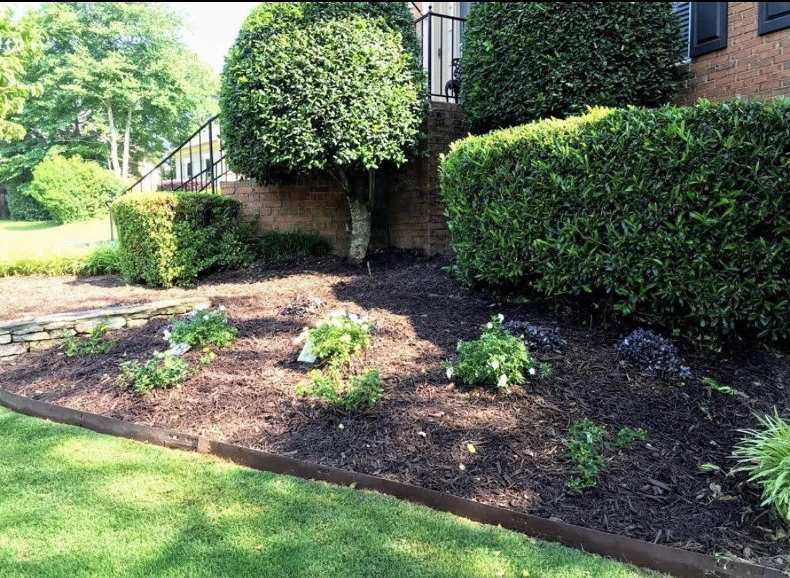 IMG_mulch.jpg