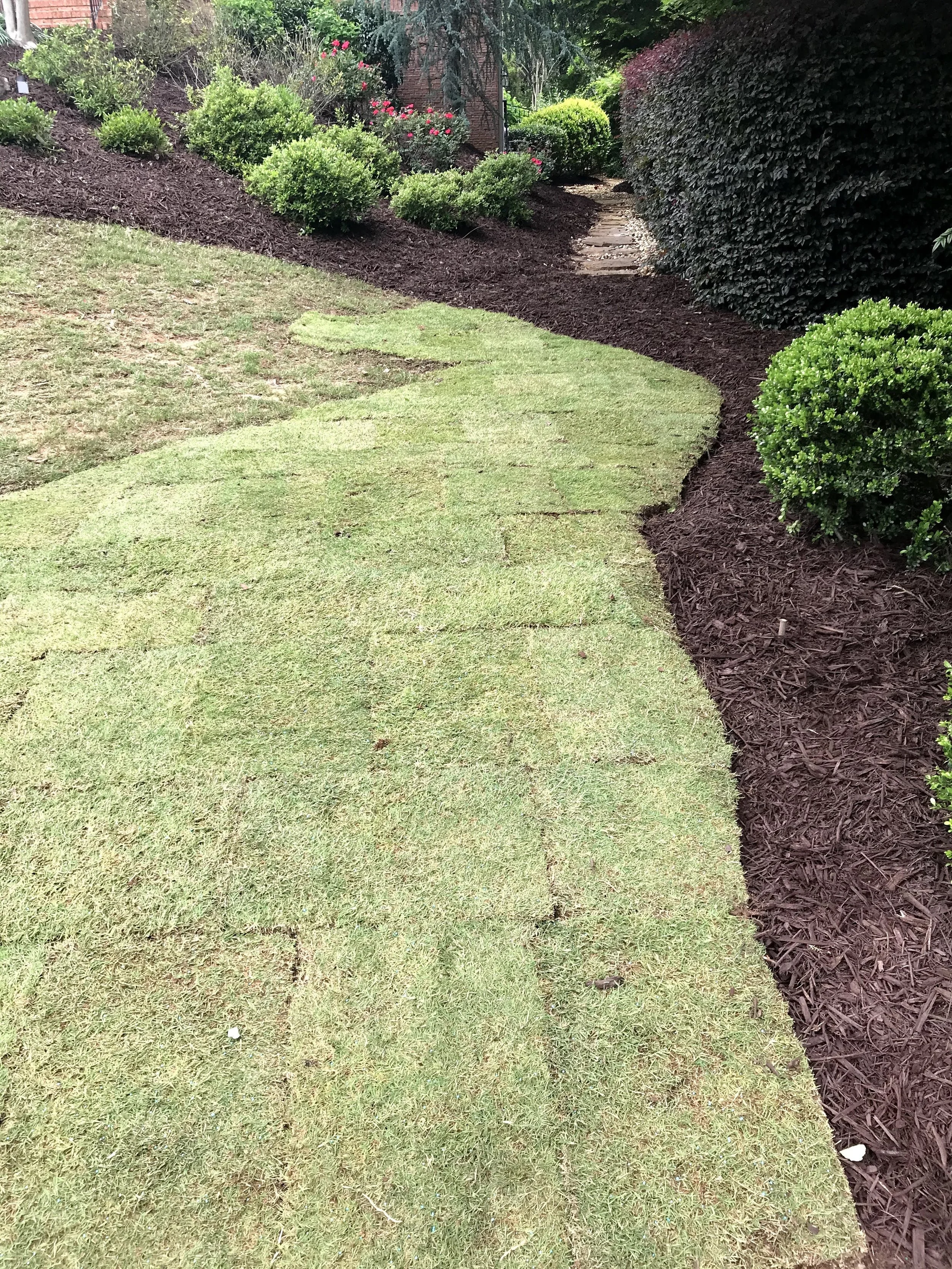 grass2.jpg