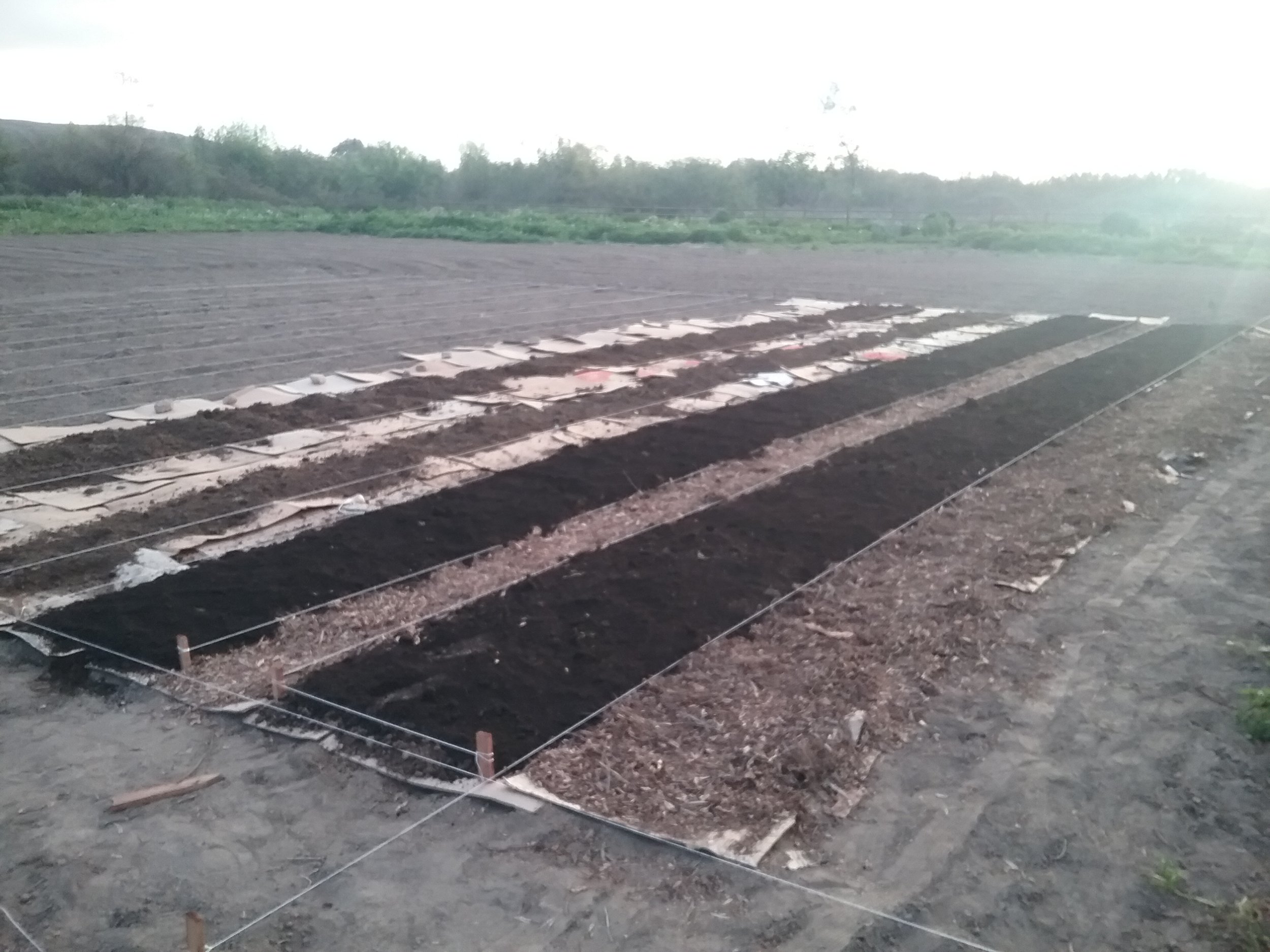 Day 1 at The Farm - Bed Construction