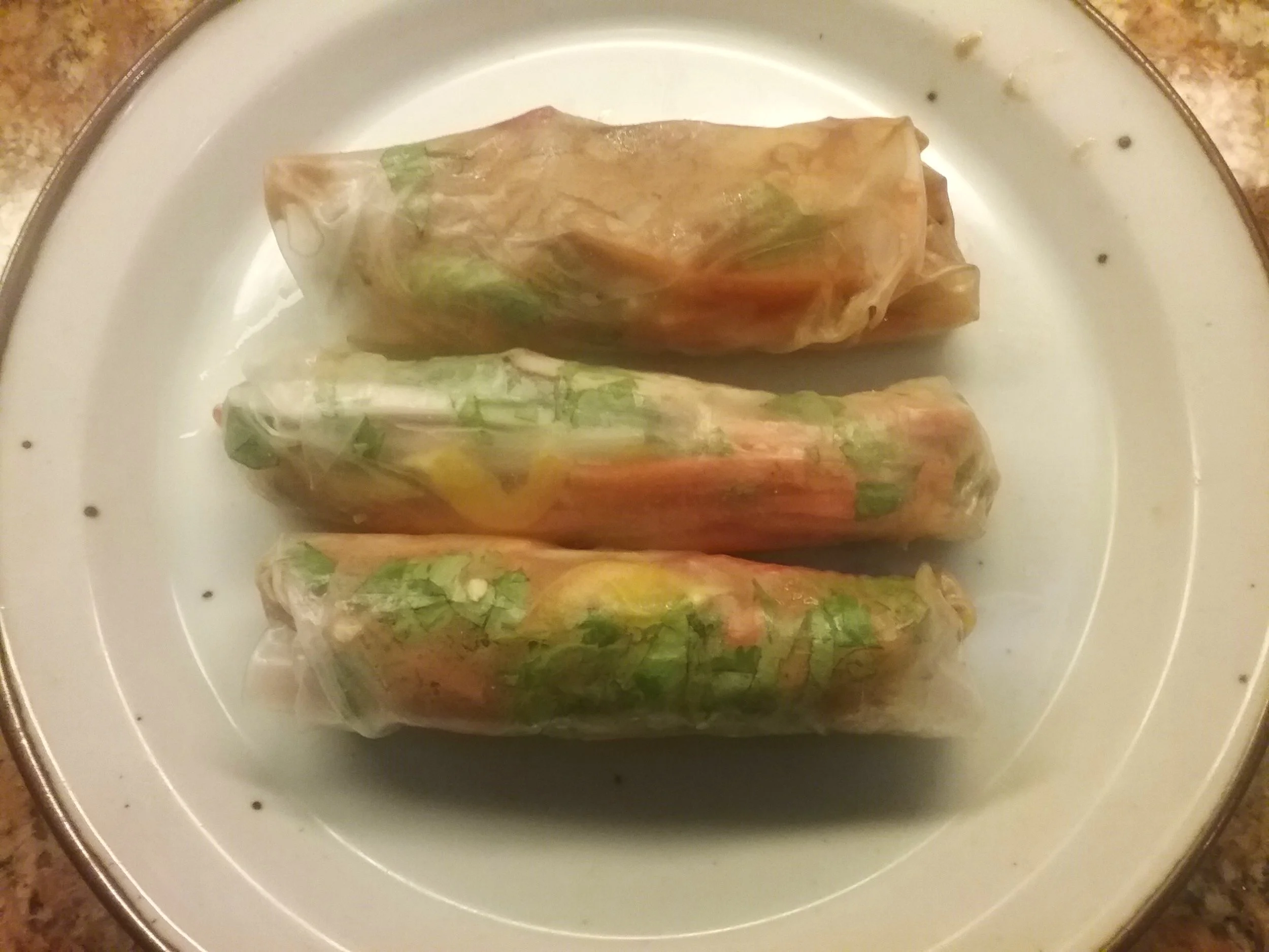 Vietnamese Spring Rolls 