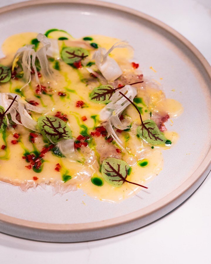 Give yourself a refreshing taste.

Seabream carpaccio, citrus zest, lemon oil, fennel shavings, red chilli, chive oil.

&mdash;
#Food #guildford #Health #dessertporn #foodporn #foodblogger #foodphotography #foodpics #foodstylist #foodblog #foodnetwor