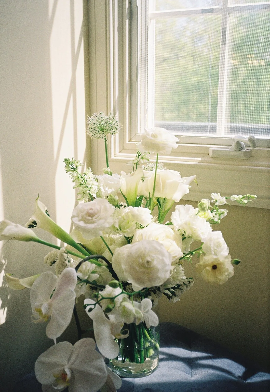A bouquet of white flowers in a glass vase placed on a dark surface near a window with sunlight streaming in.