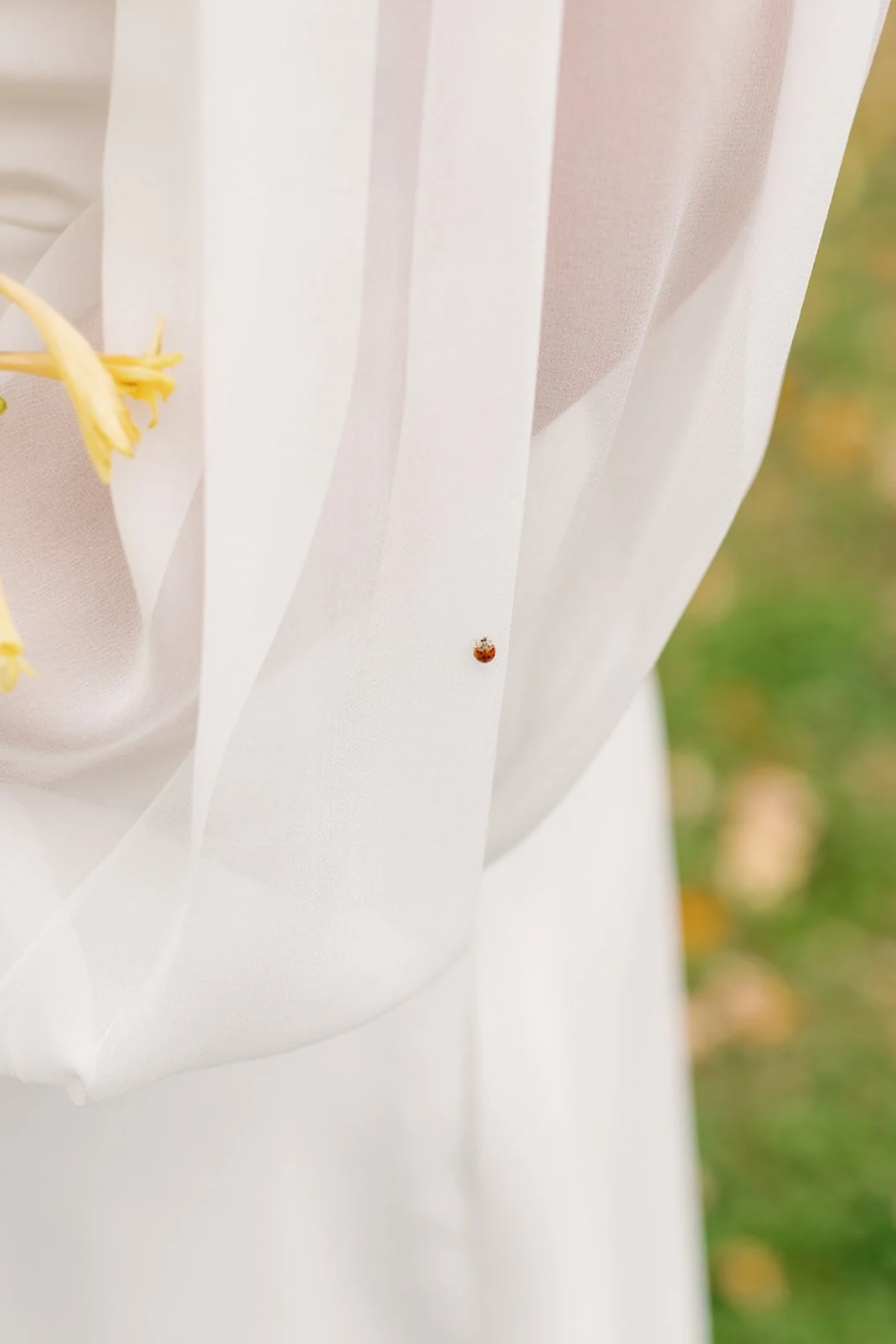 Close-up of white fabric with a ladybug on it, with a blurred background of green and yellow outdoors.