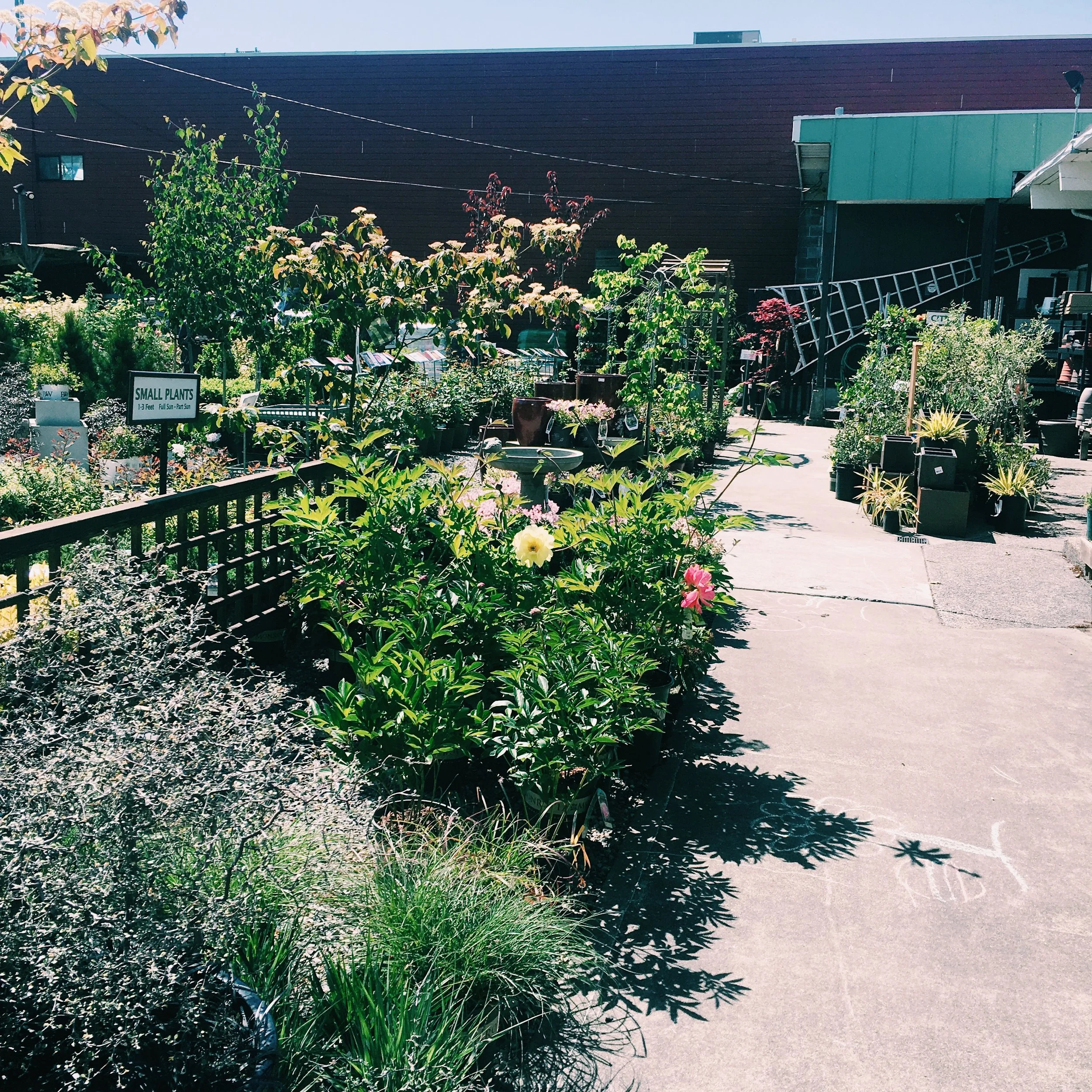 Magnolia Garden Center