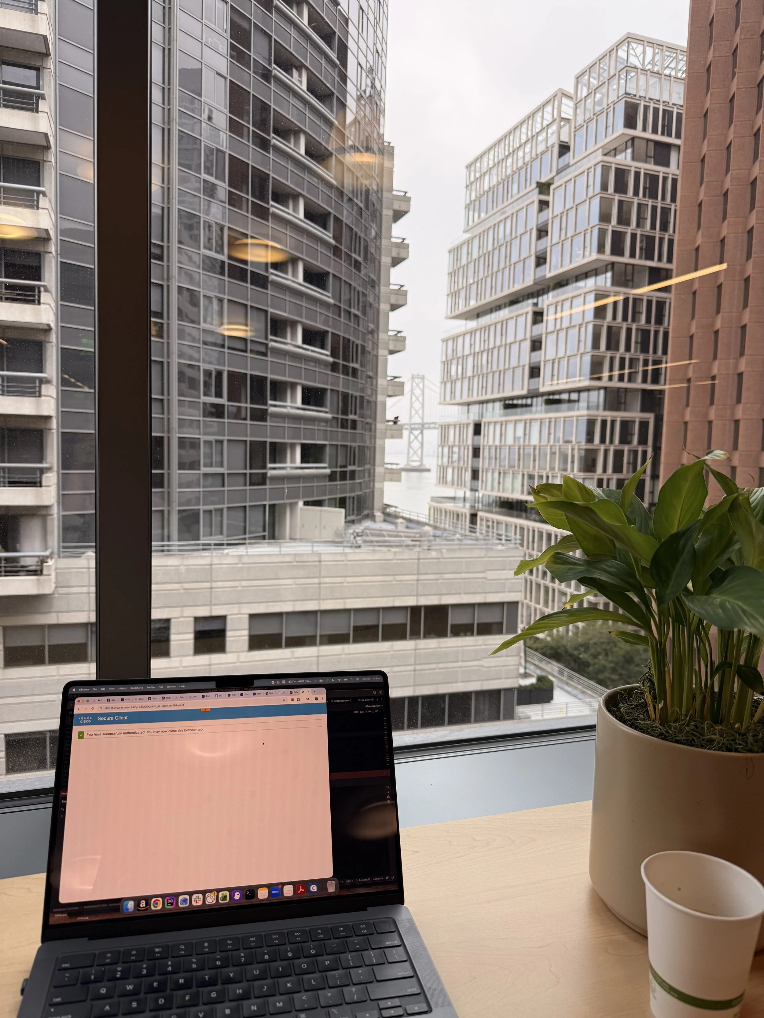 Work trip to San Francisco