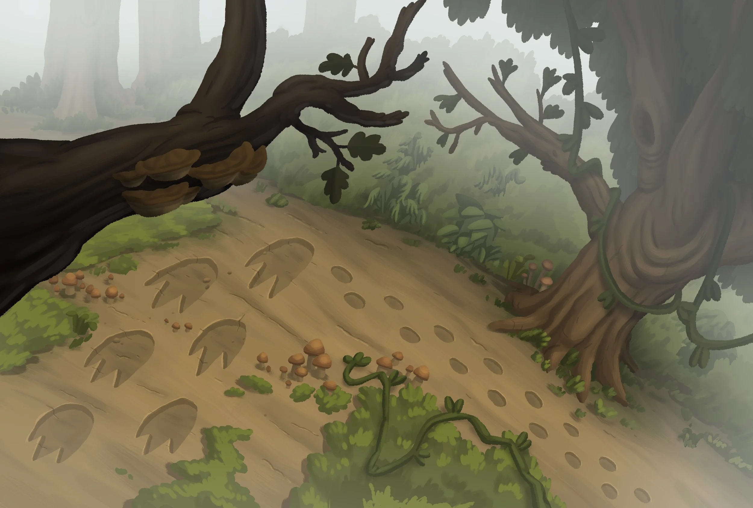 ATSQ_ZiplineForestExtAFootprintDownshotDay_Co_A00.jpg