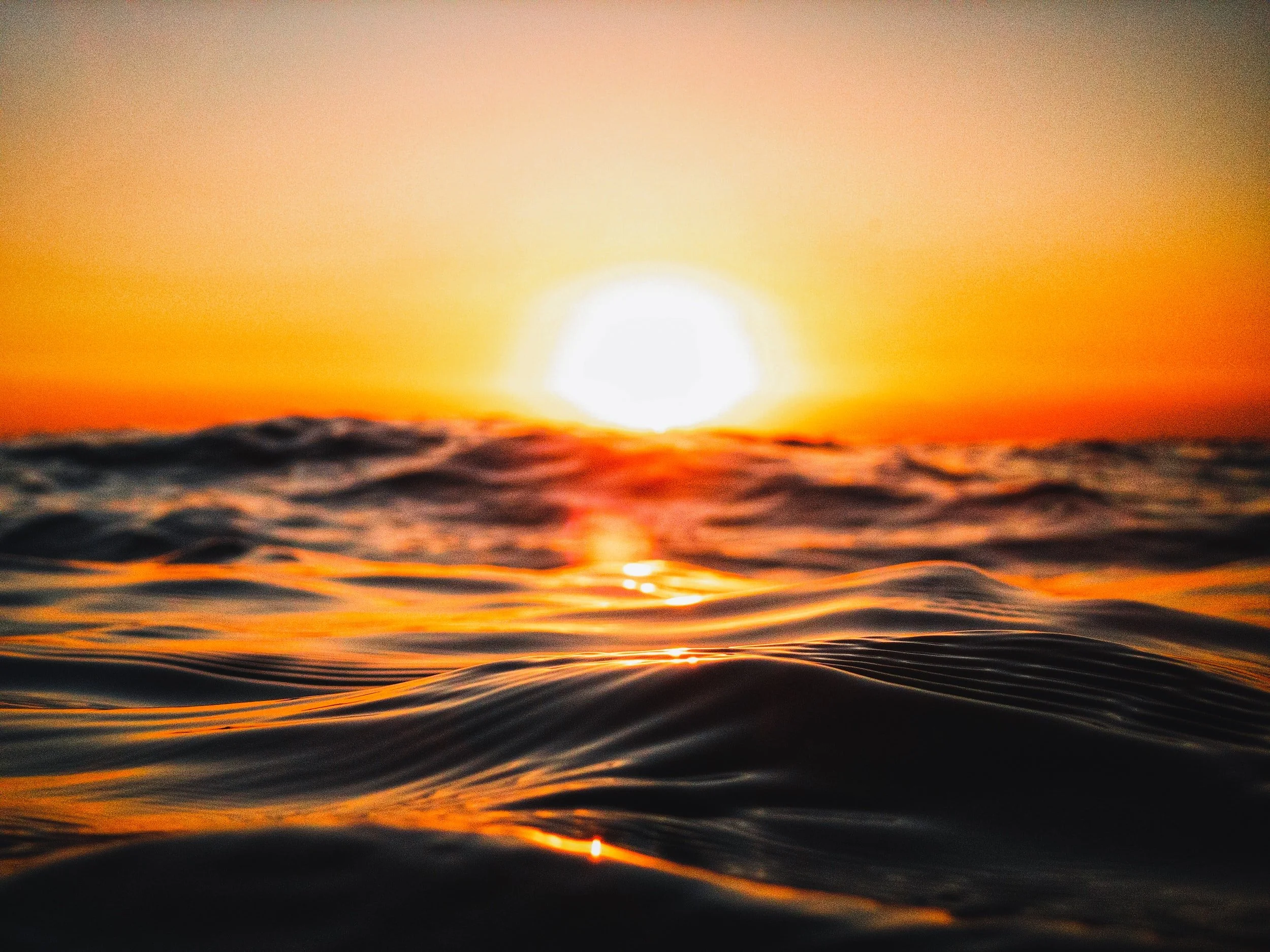 Swimming in the Psalms