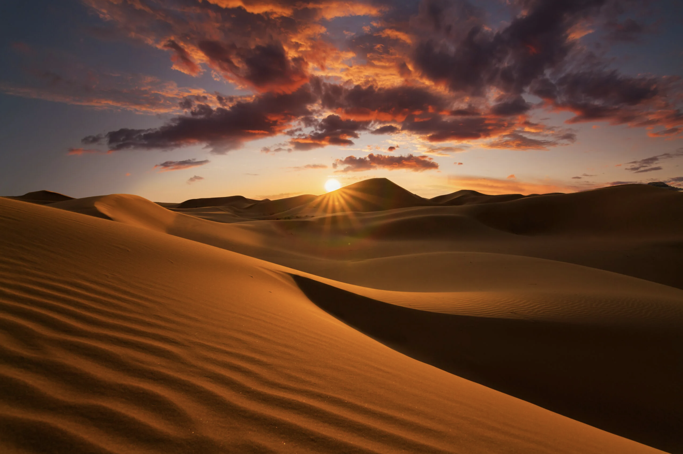 Choose the Desert