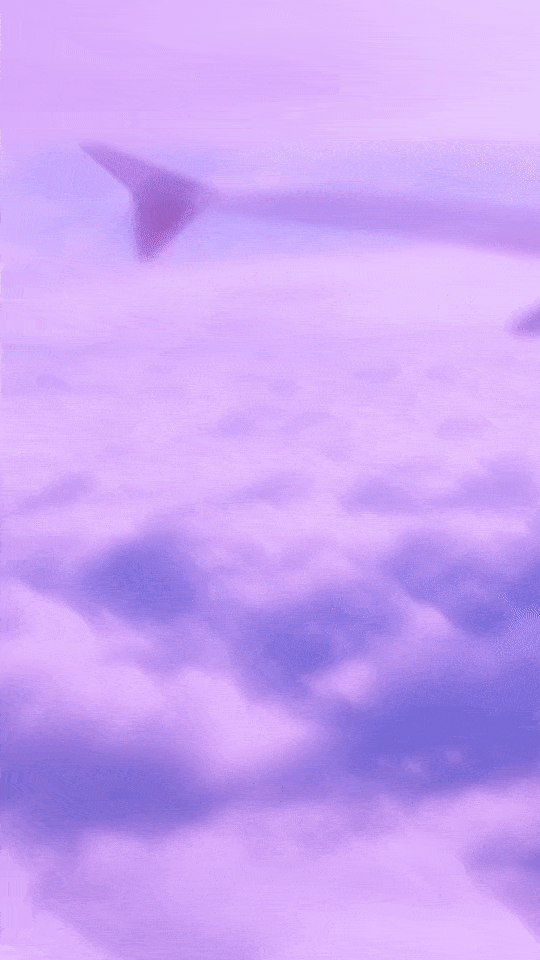 ezgif.com-optimize (2) copy 2.gif