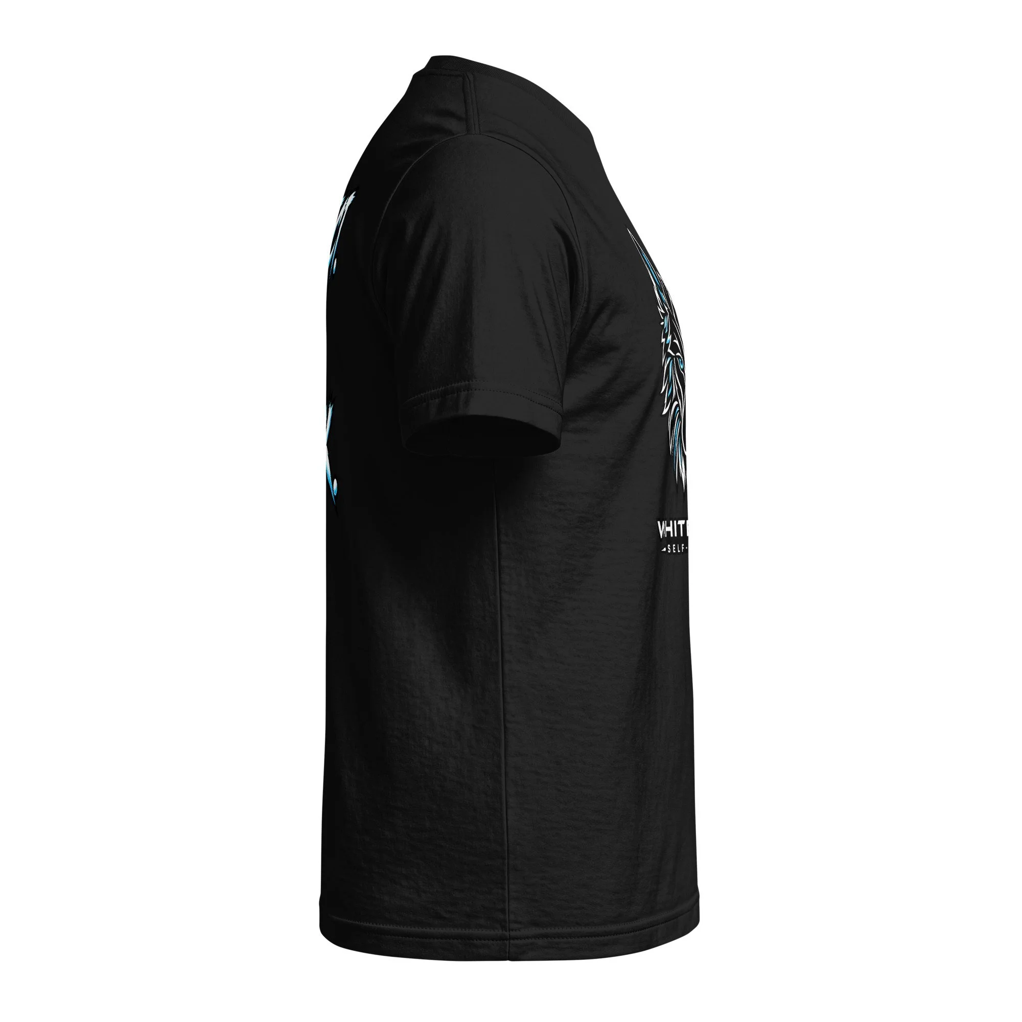 unisex-fine-jersey-t-shirt-black-right-6a961e826052b.jpg