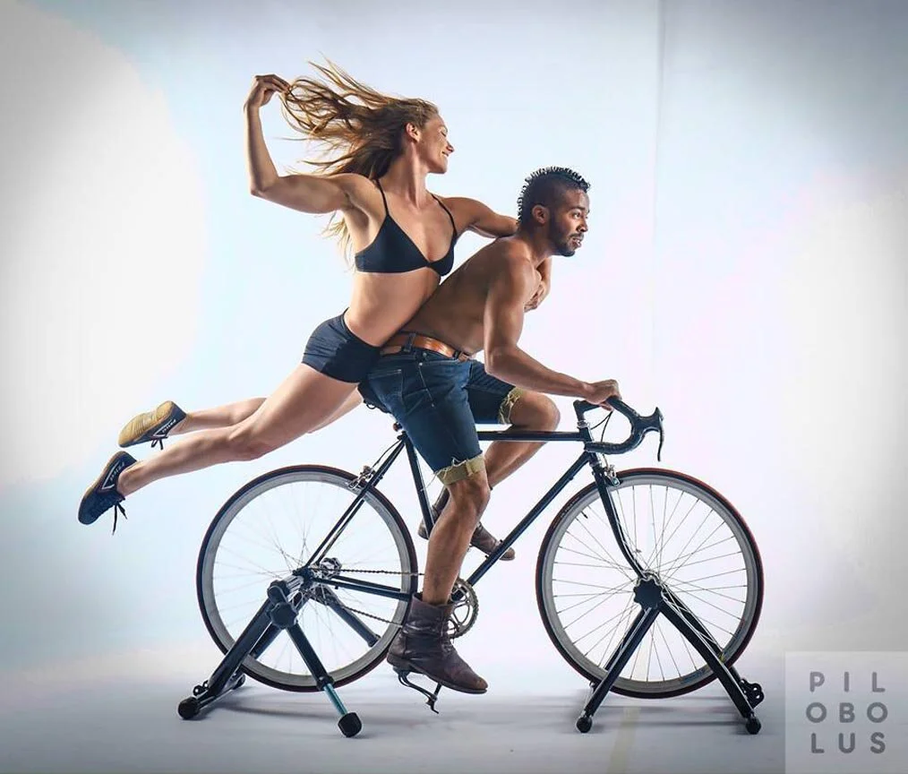 PILOBOLUS-Jordan-Aug10-2016.jpeg