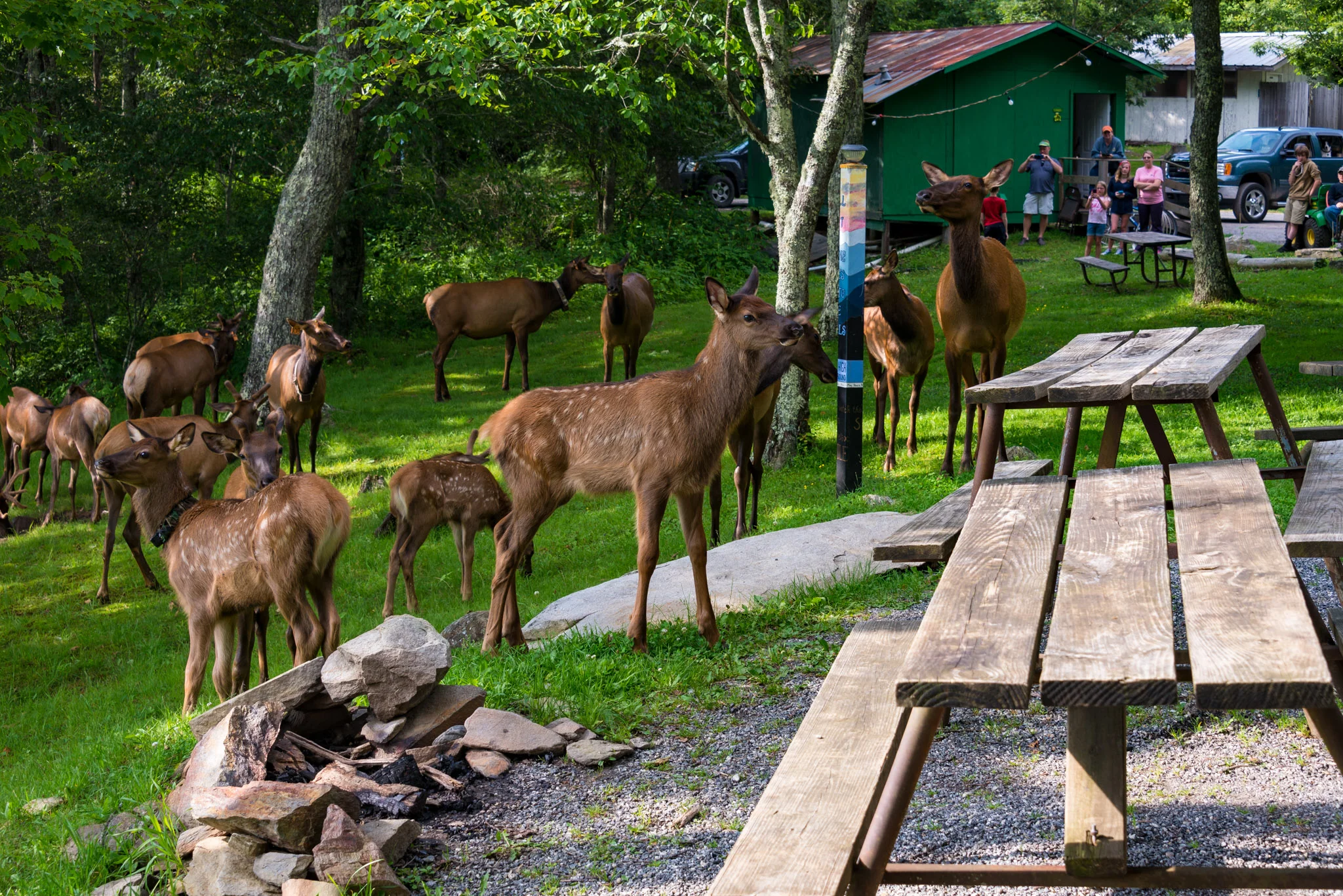 A few of our locals