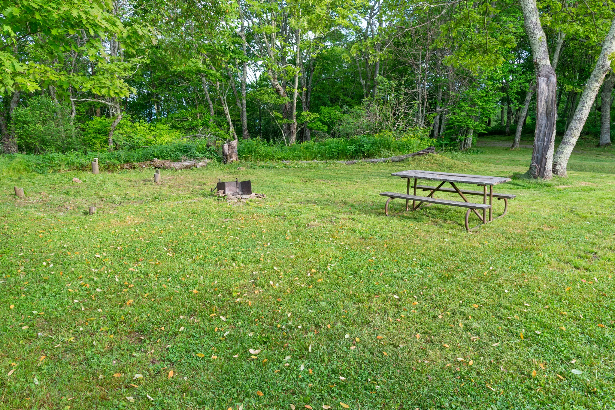 5A DSC_5614.jpg