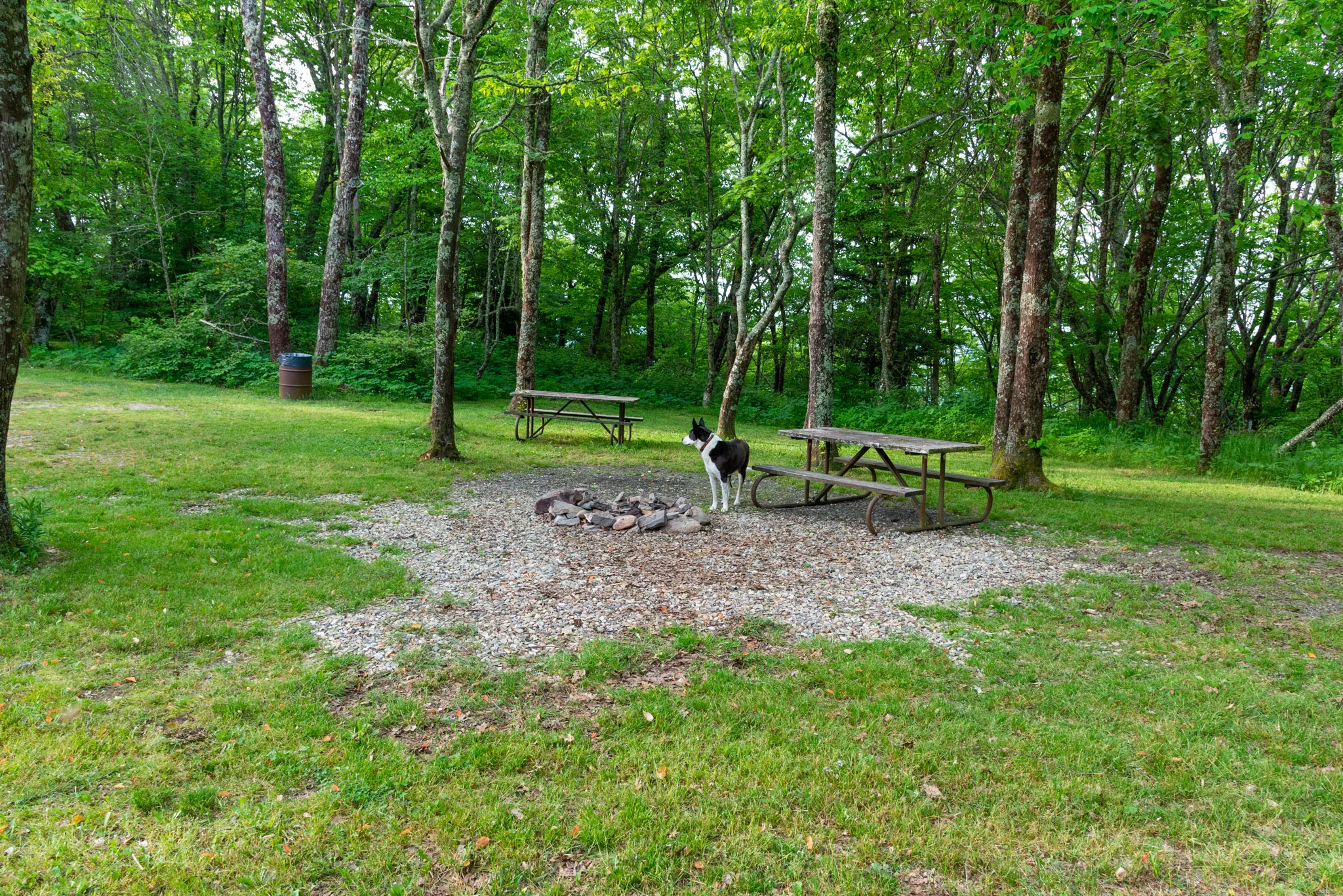 10A DSC_5636.jpg