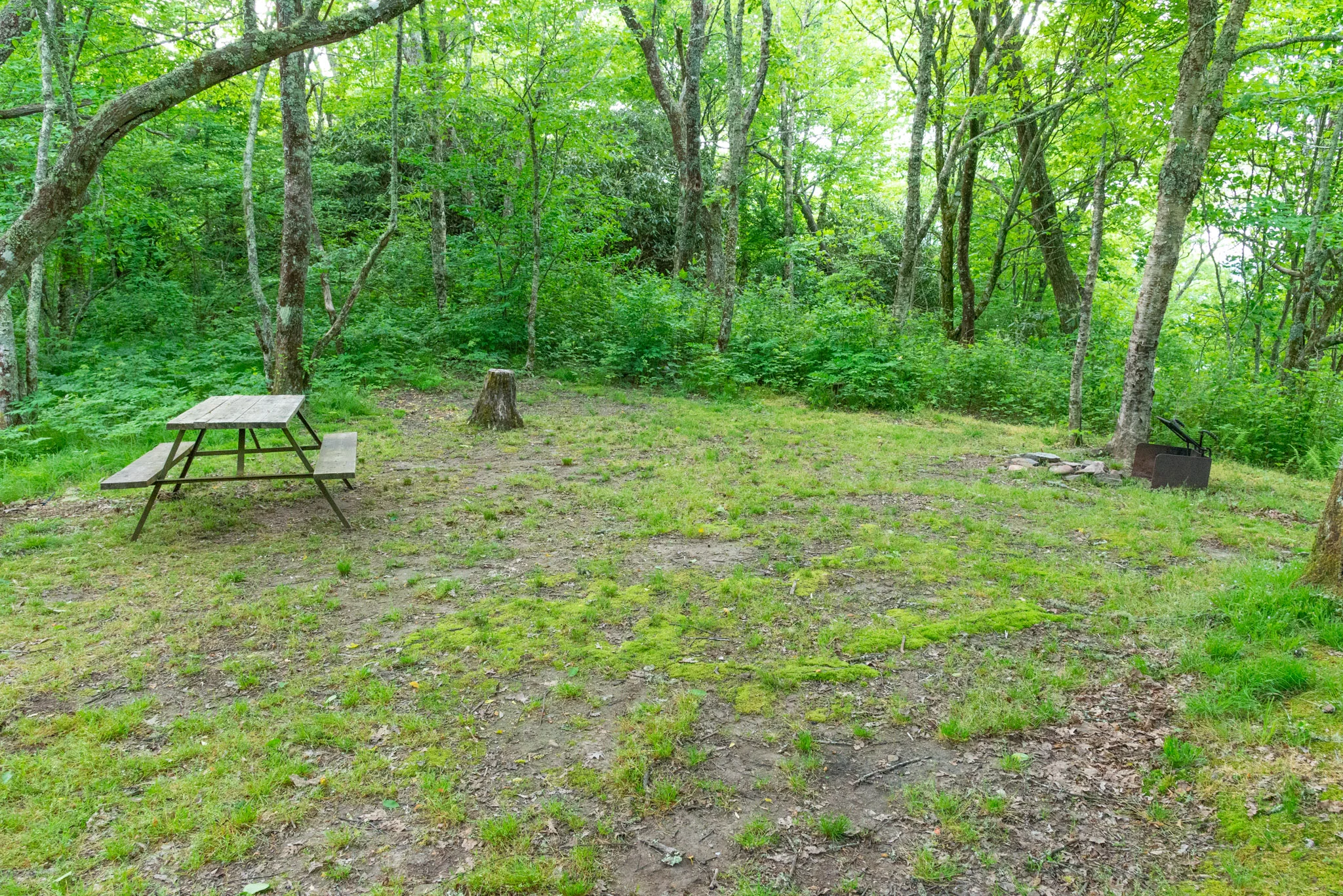 10B DSC_5643.jpg