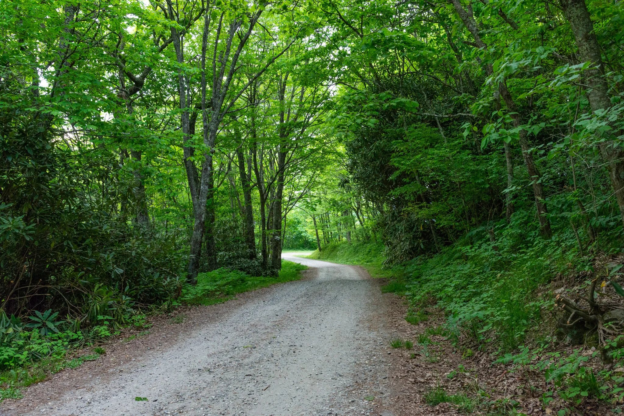 DSC_5535.jpg