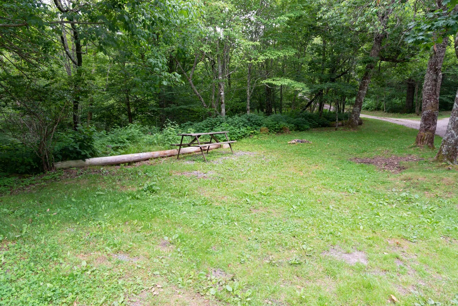 11AA-DSC_7204.jpg
