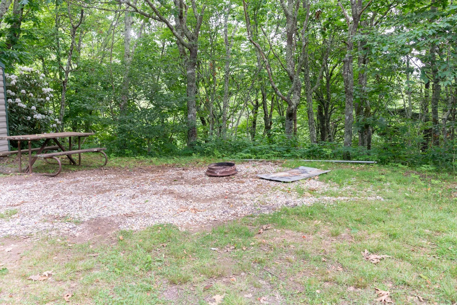 12B-DSC_7206.jpg