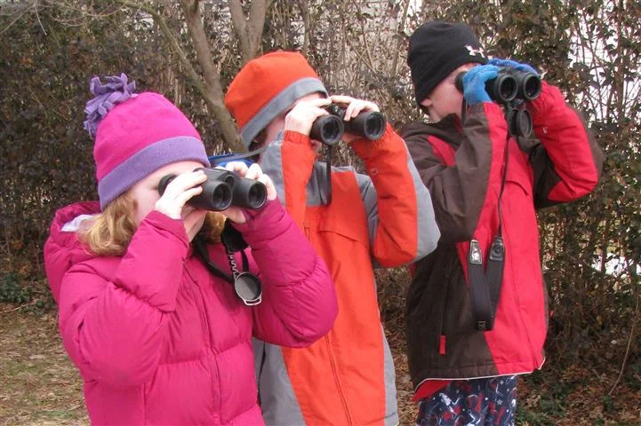 young birders (Small).jpg