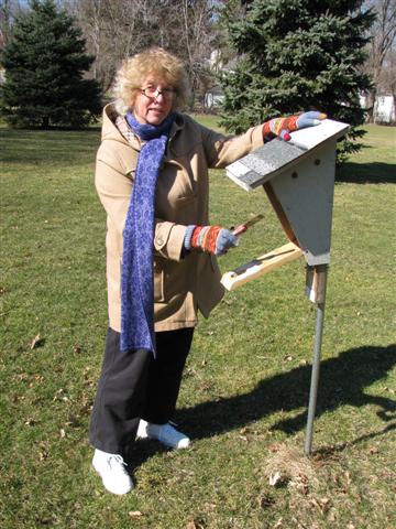 A bluebird trail monitor makes sure her nestboxes are clean and in good repair. Bluebirds begin looking for nesting sites by late February.
