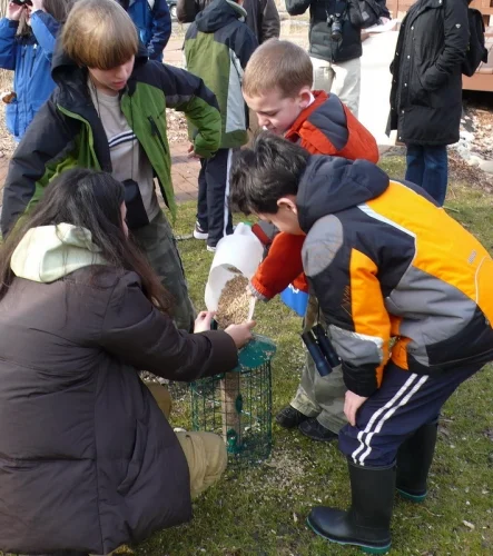 Filling feeders