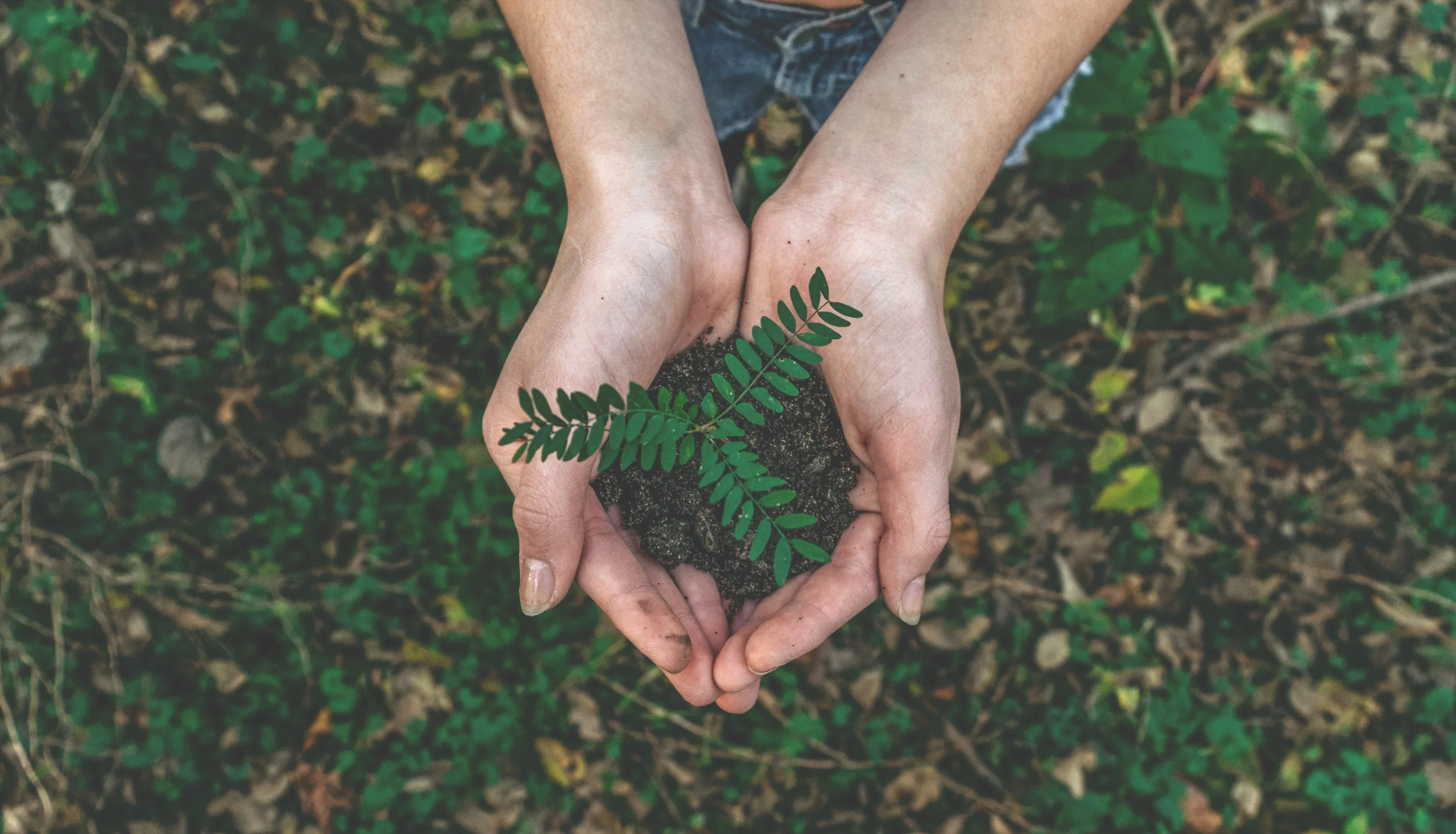 Chumash honored with Zero Waste award