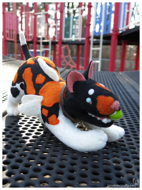 KoiDog005-1.jpg