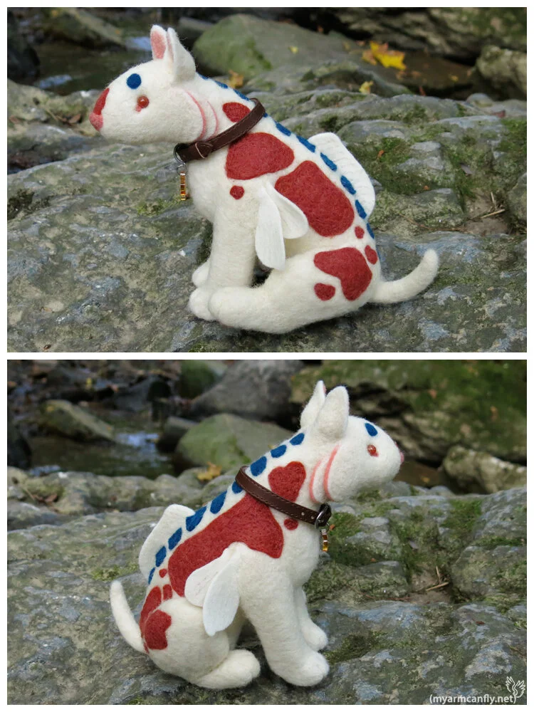 KoiDog015-2.jpg