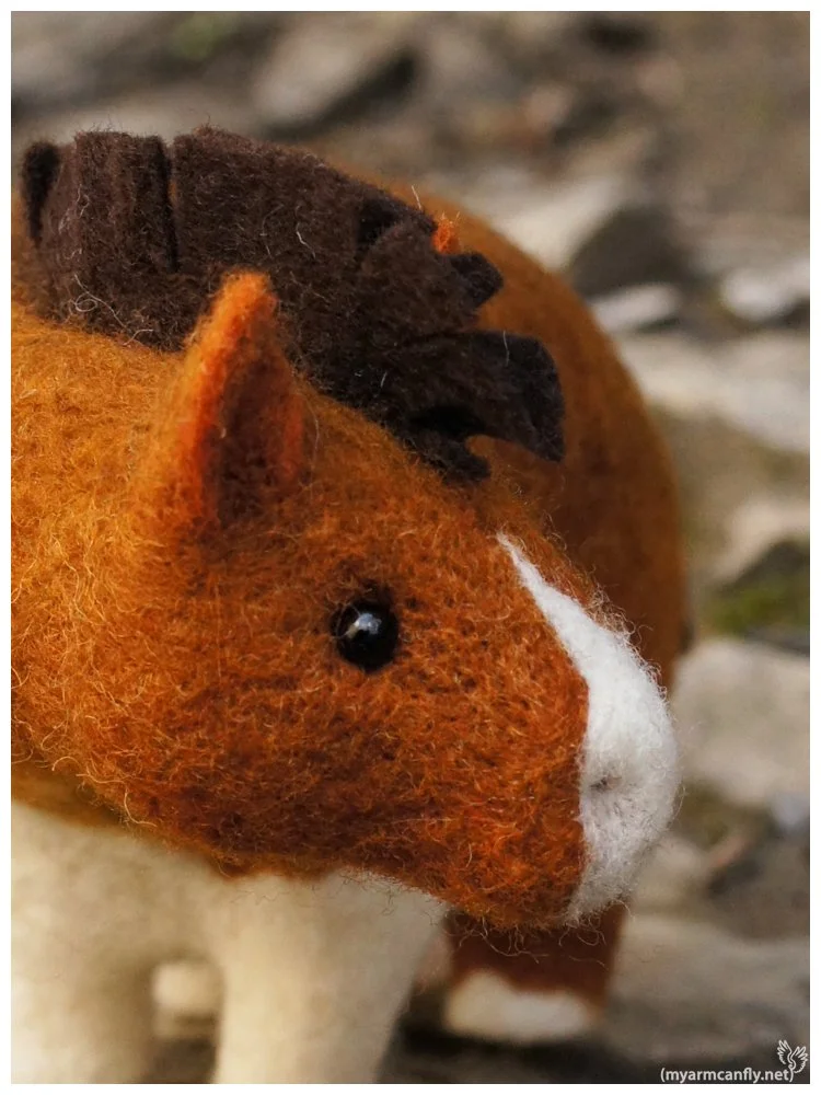 FatHorse02-3.jpg