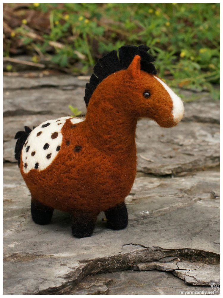 FatHorse10-1.jpg
