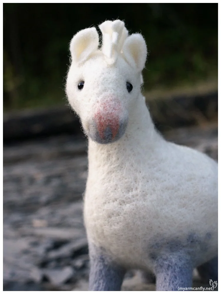 FatHorse26-5.jpg