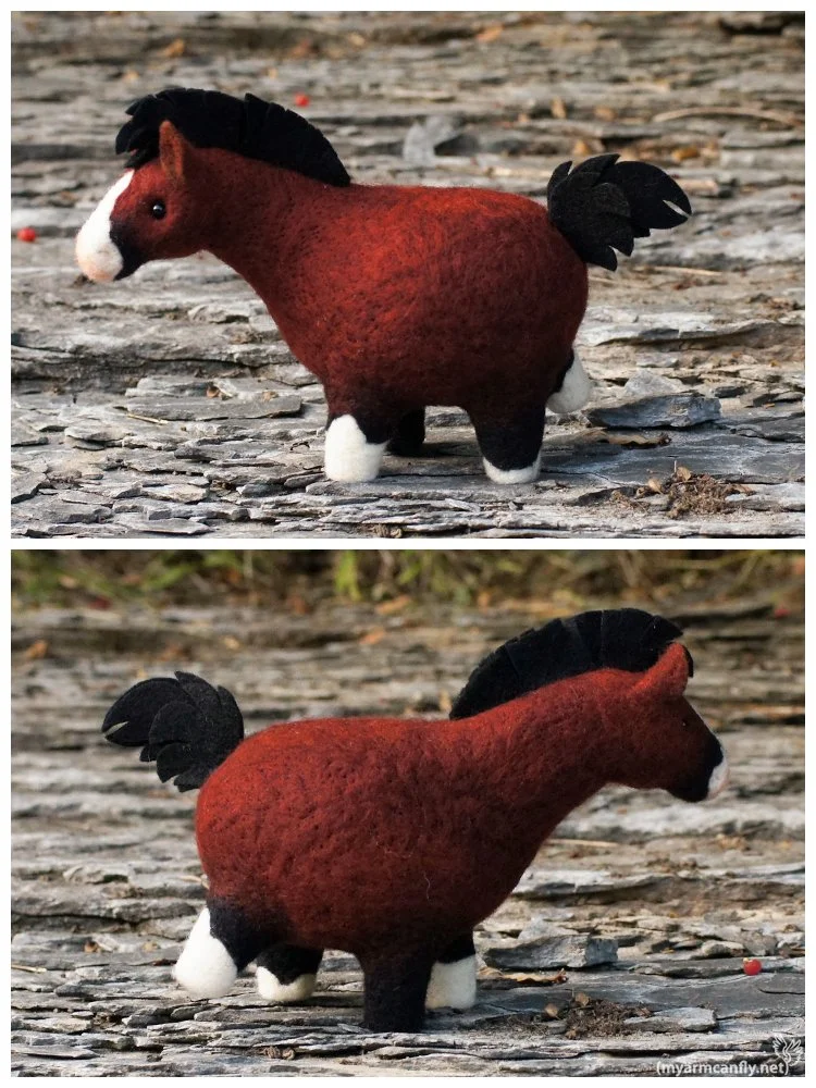 FatHorse30-2.jpg