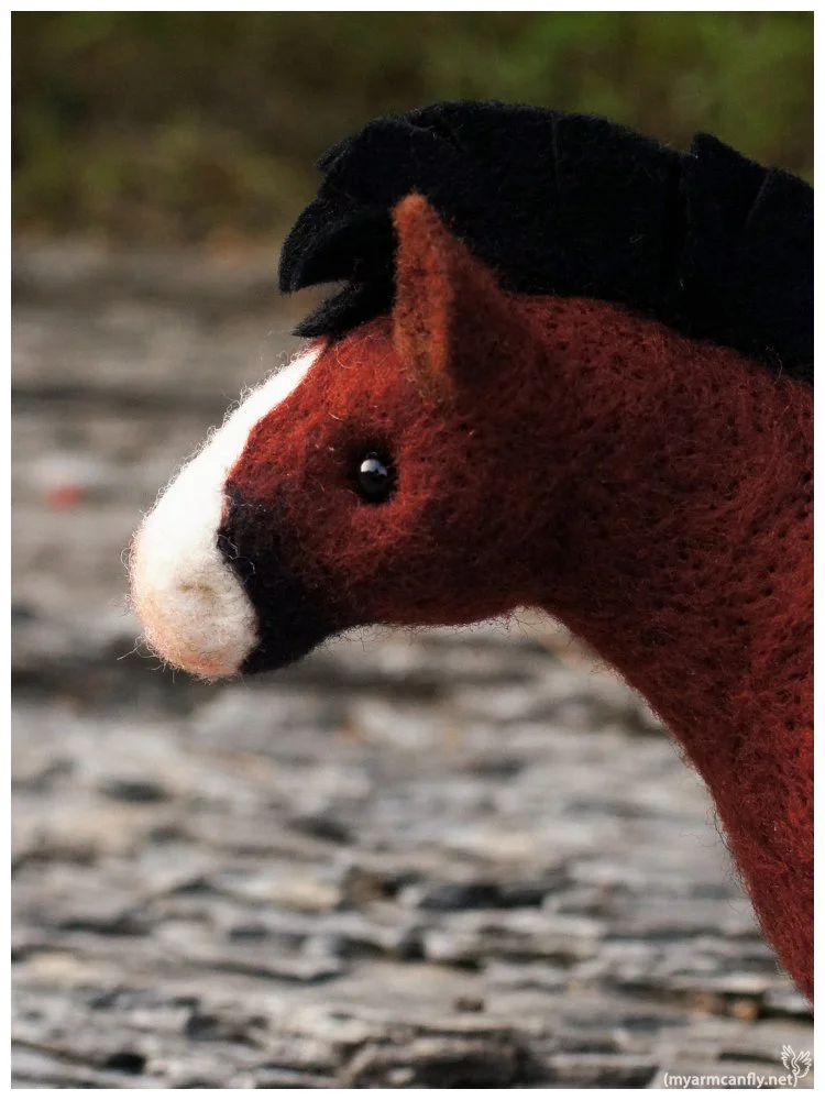 FatHorse30-3.jpg