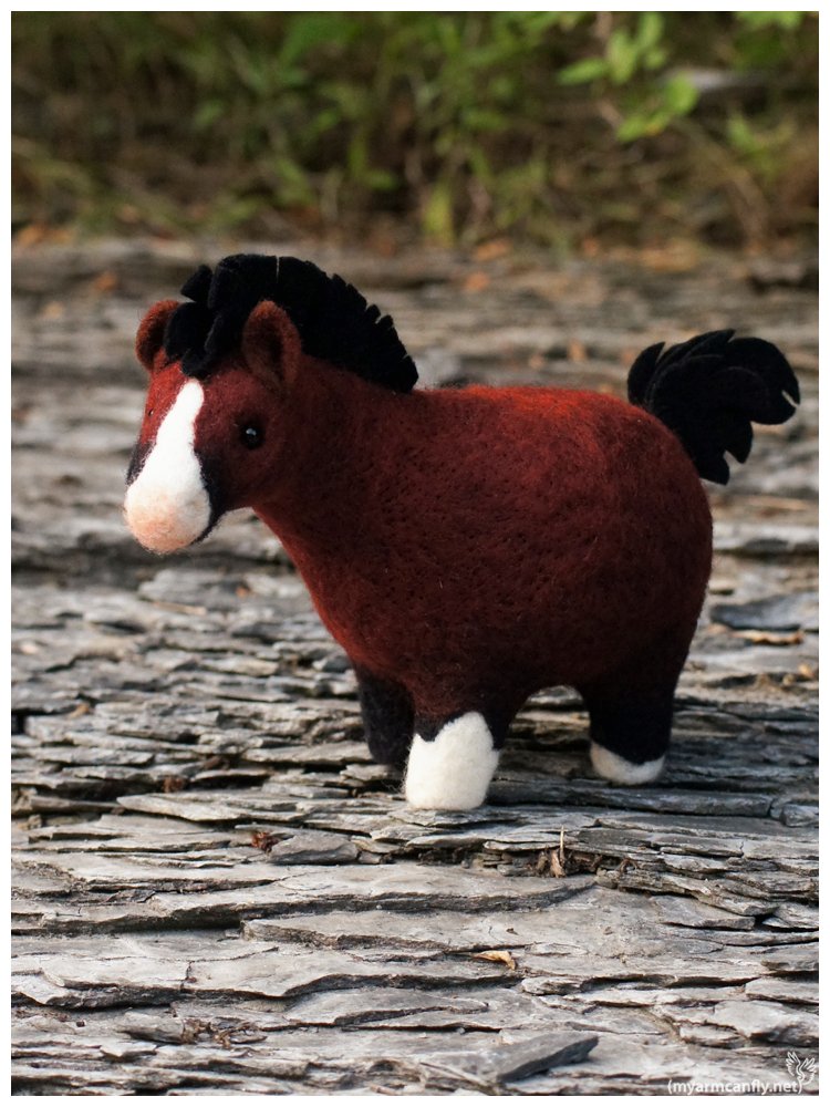 FatHorse30-5.jpg