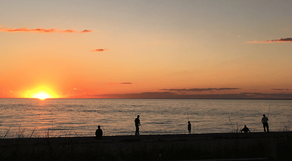 IMG_6150-edit.gif