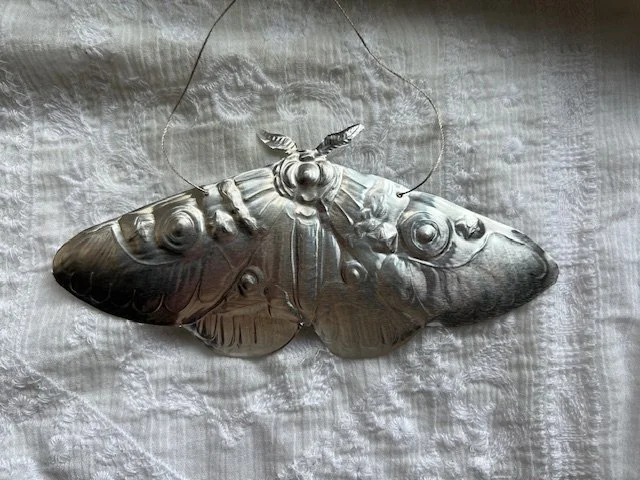 moth 1.jpg