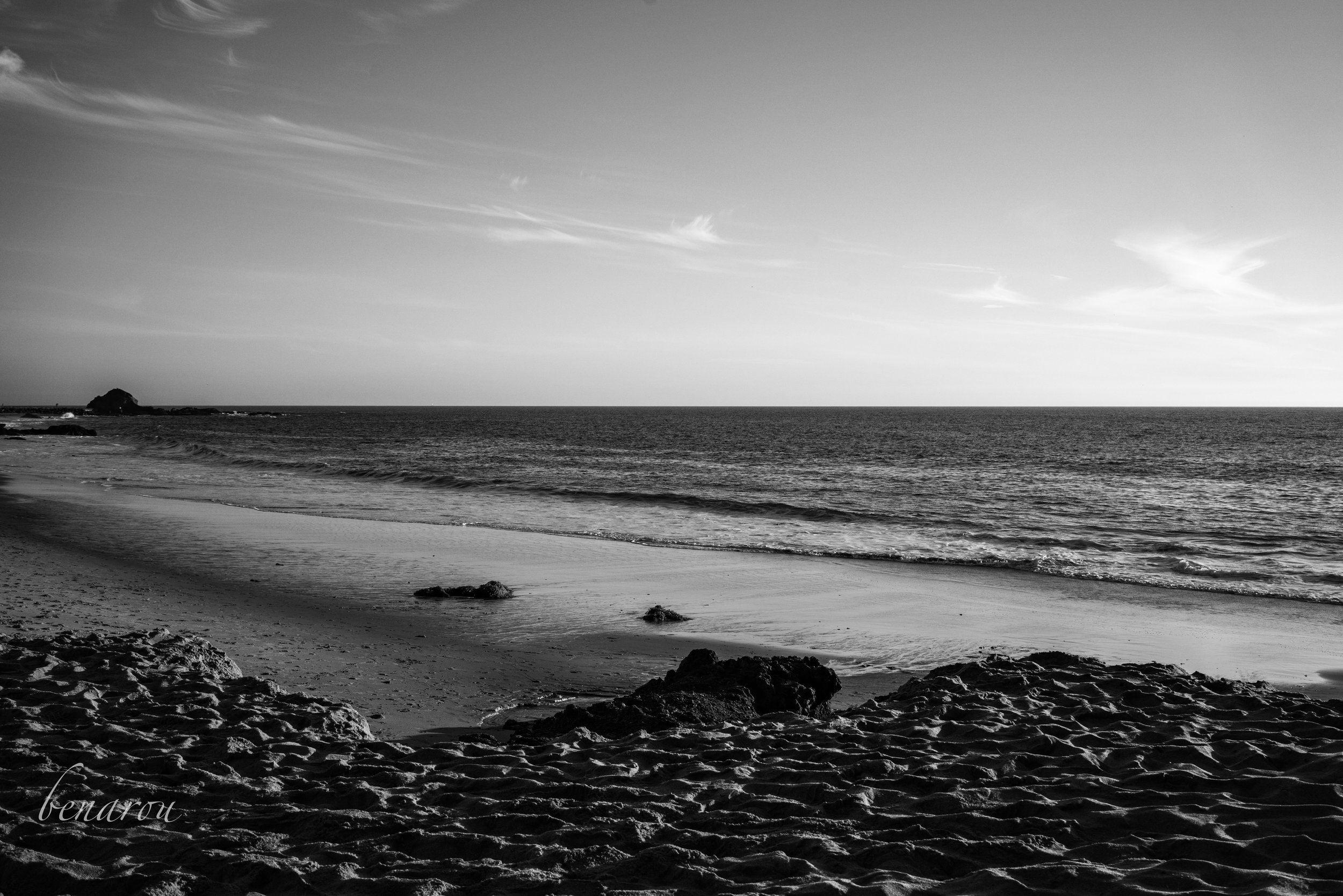 DSC00157 SML.jpg